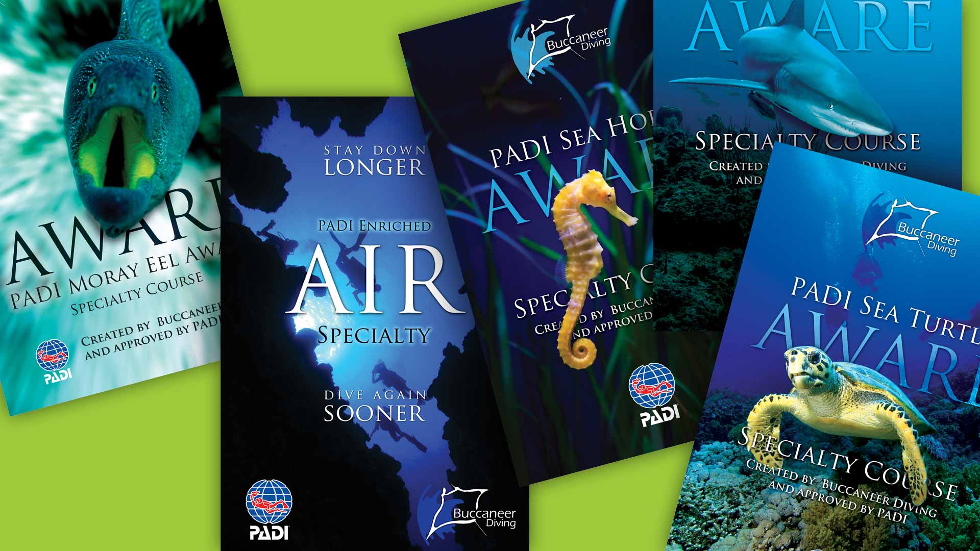 Padi Posters