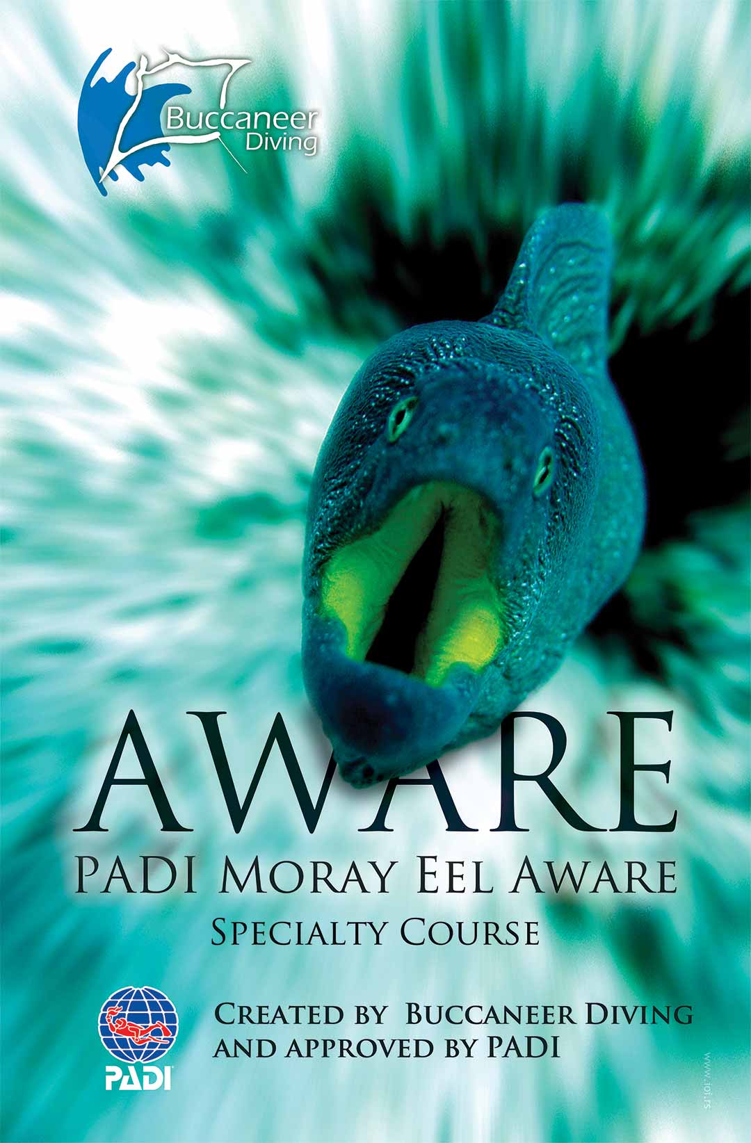 Padi Posters