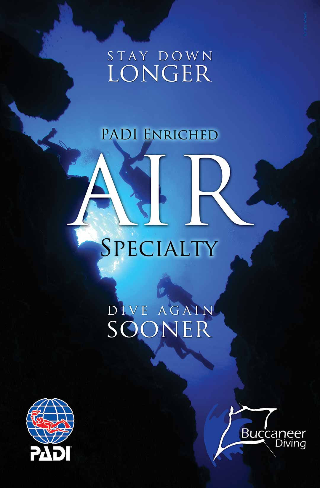 Padi Posters