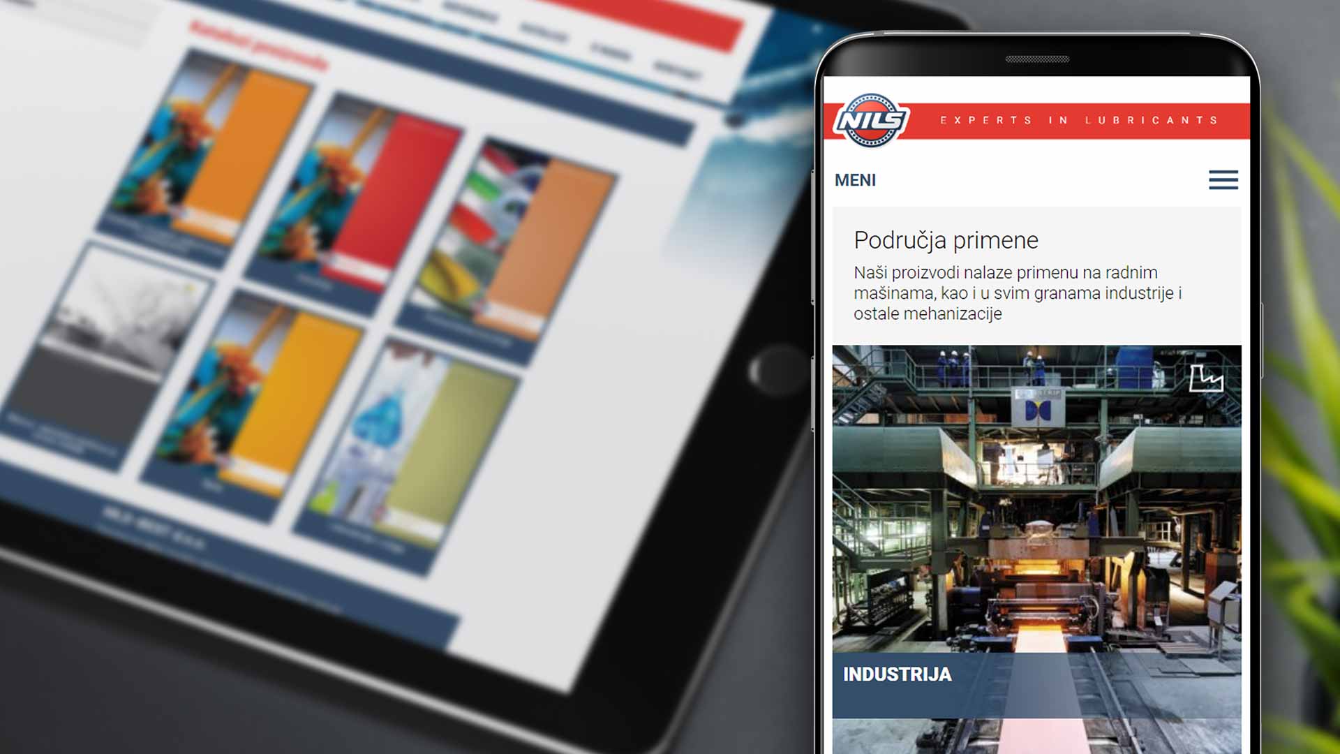NILS Serbia Website Development