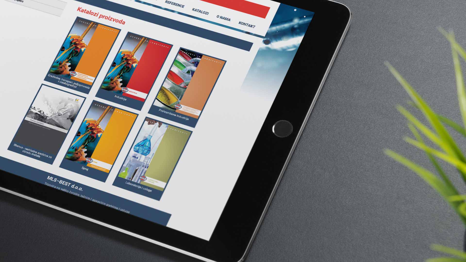 NILS Serbia Website Development