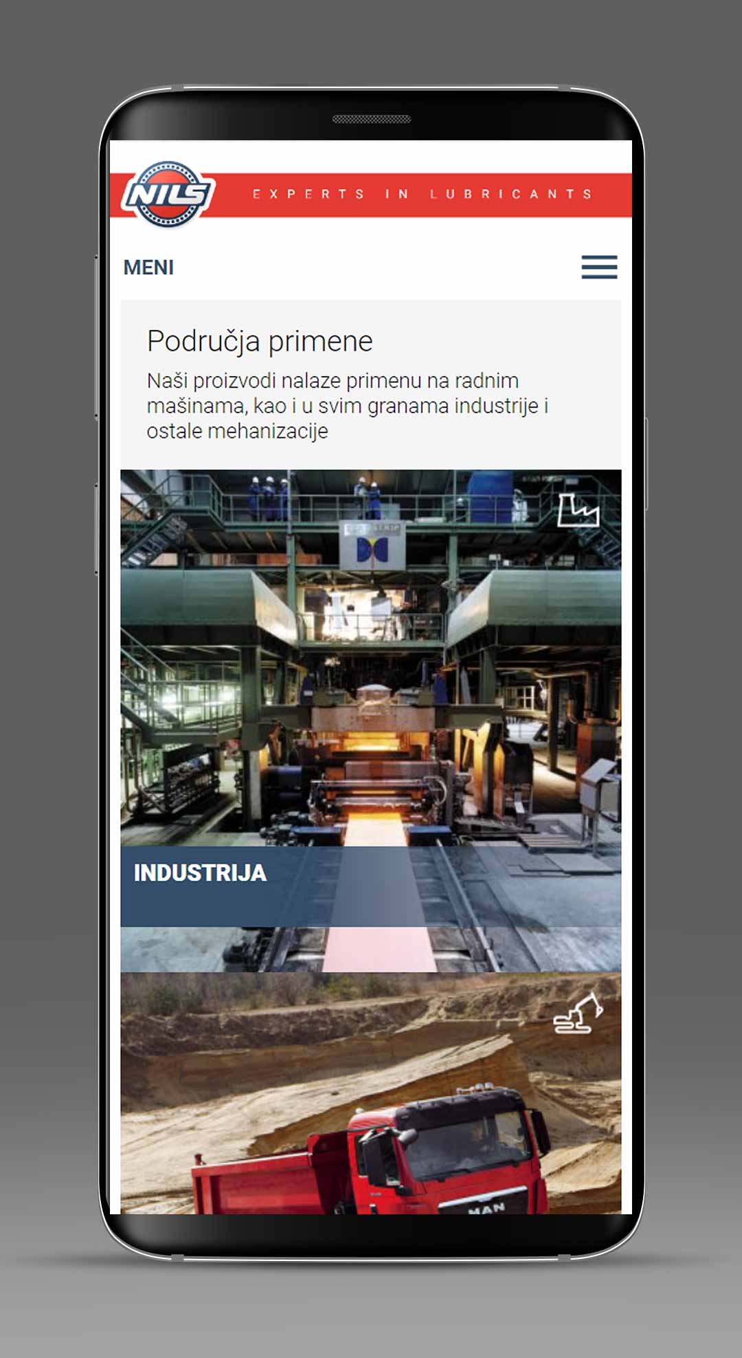 NILS Serbia Website Development