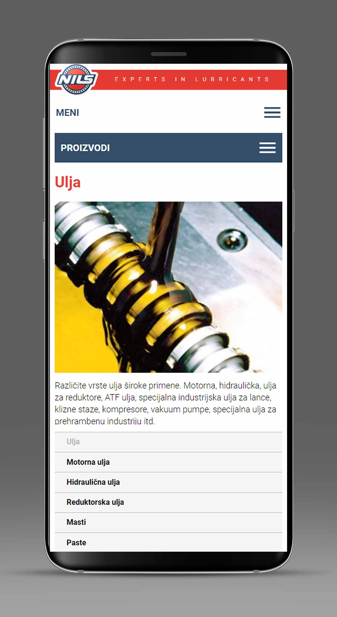 NILS Serbia Website Development