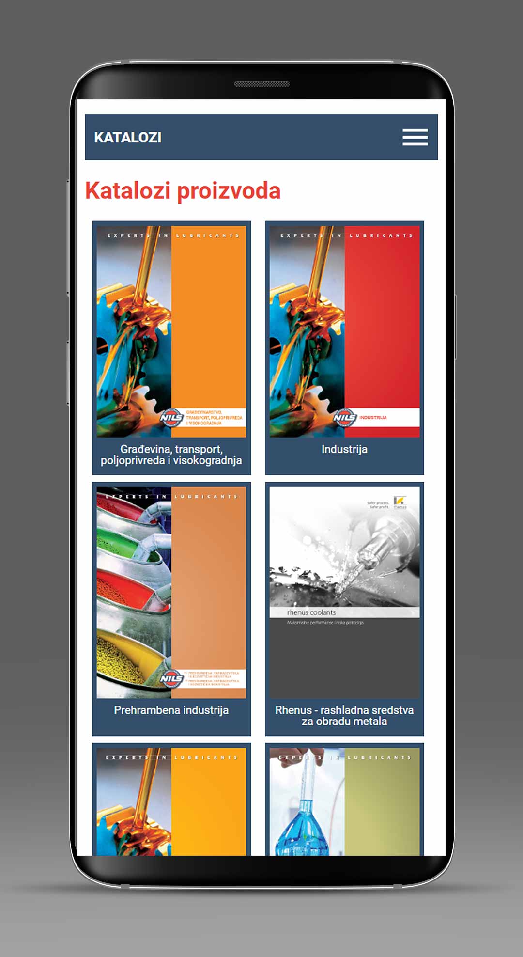 NILS Serbia Website Development