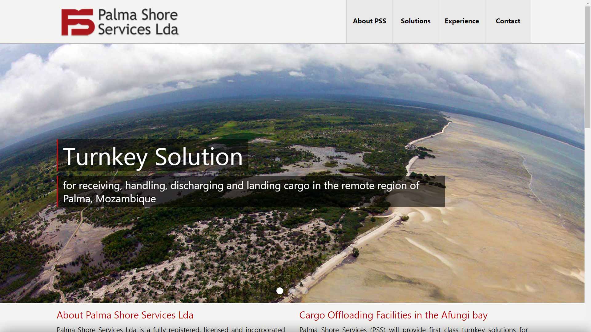 Palma Shore Services website design