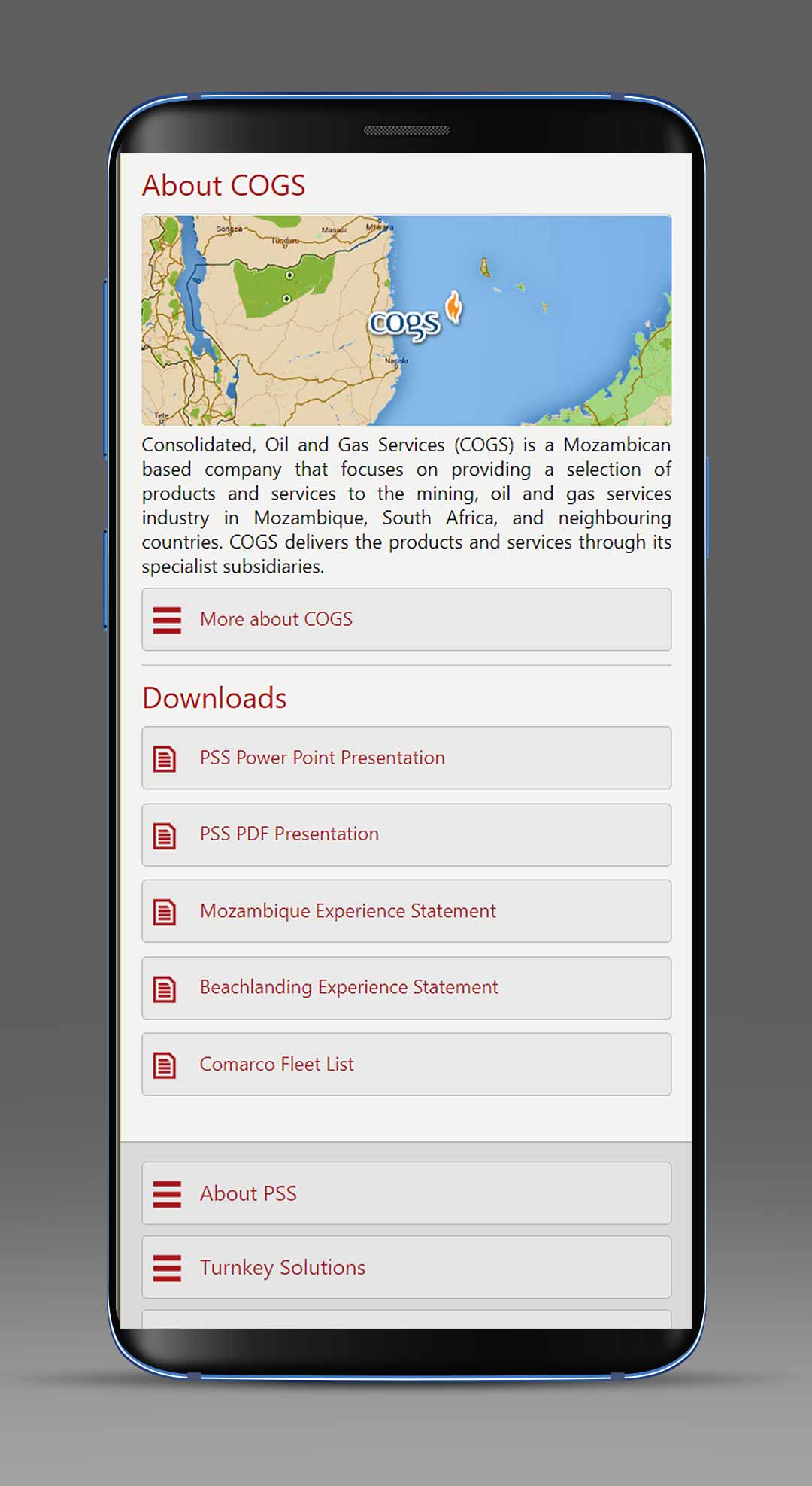 Palma Shore Services website design